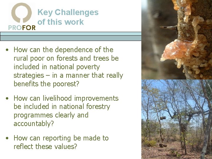 Key Challenges of this work • How can the dependence of the rural poor