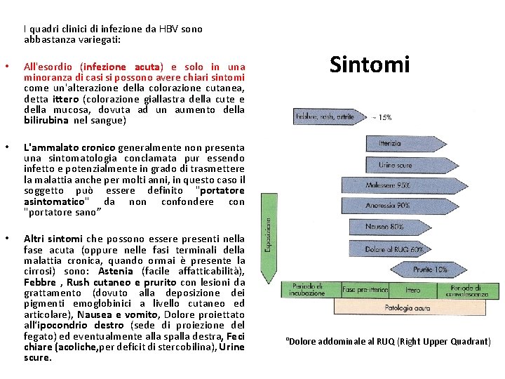 I quadri clinici di infezione da HBV sono abbastanza variegati: • All'esordio (infezione acuta)