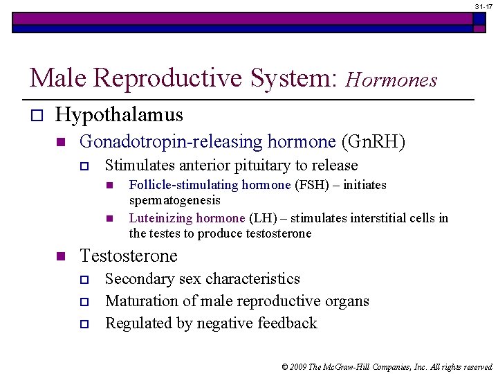 31 -17 Male Reproductive System: Hormones o Hypothalamus n Gonadotropin-releasing hormone (Gn. RH) o