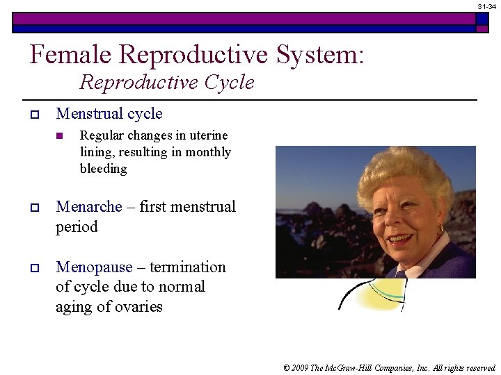 31 -34 Female Reproductive System: Reproductive Cycle o Menstrual cycle n Regular changes in
