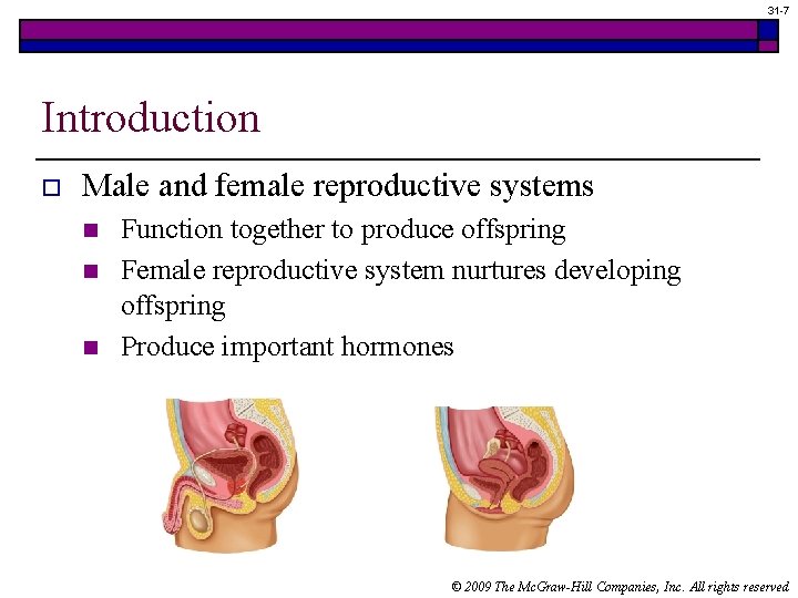 31 -7 Introduction o Male and female reproductive systems n n n Function together