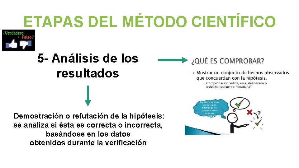 ETAPAS DEL MÉTODO CIENTÍFICO 5 - Análisis de los resultados Demostración o refutación de