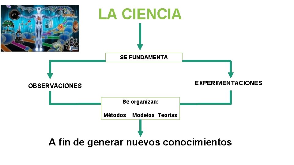 LA CIENCIA SE FUNDAMENTA EXPERIMENTACIONES OBSERVACIONES Se organizan: Métodos Modelos Teorías A fin de