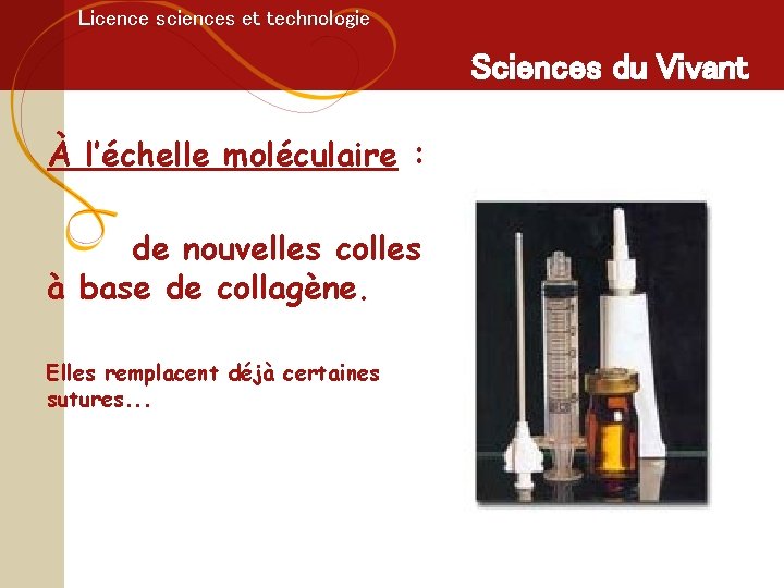 Licence sciences et technologie Sciences du Vivant À l’échelle moléculaire : de nouvelles colles