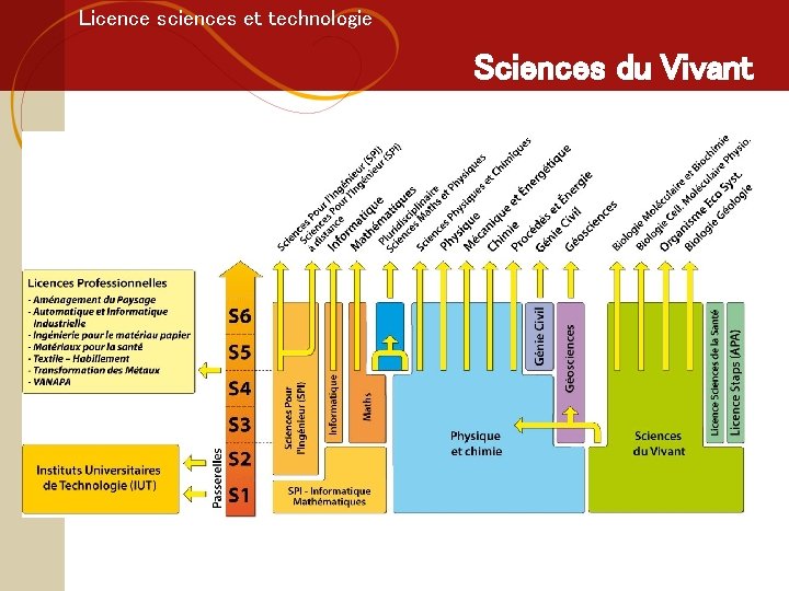 Licence sciences et technologie Sciences du Vivant 