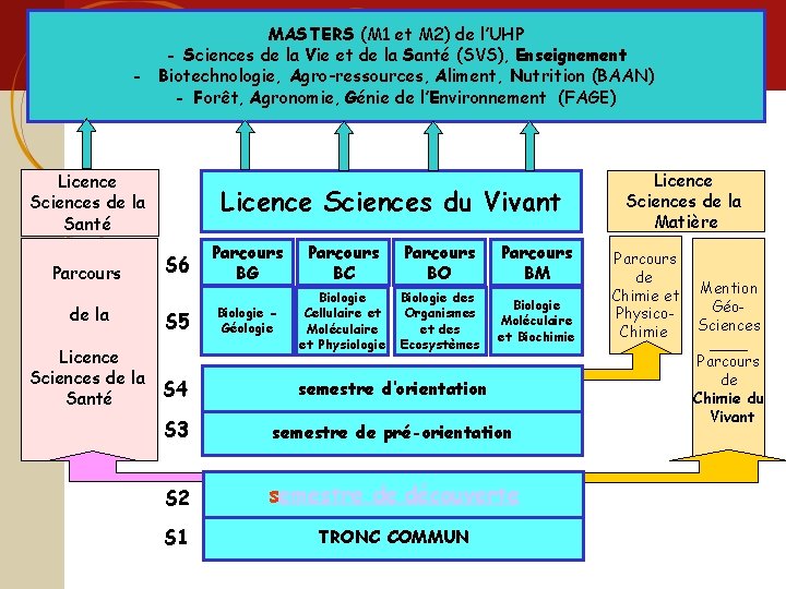 Licence sciences et technologie MASTERS (M 1 et M 2) de l’UHP - Sciences