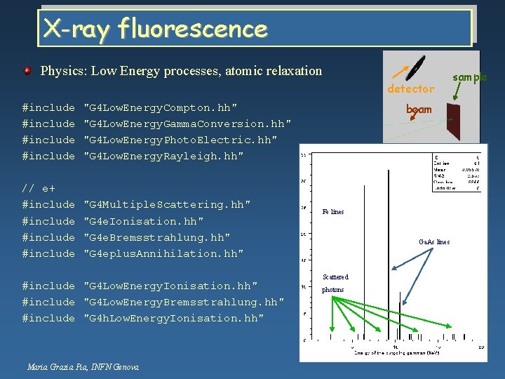 X-ray fluorescence Physics: Low Energy processes, atomic relaxation detector #include "G 4 Low. Energy.