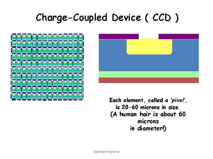 Charge-Coupled Device ( CCD ) Each element, called a ‘pixel’, is 20 -60 microns