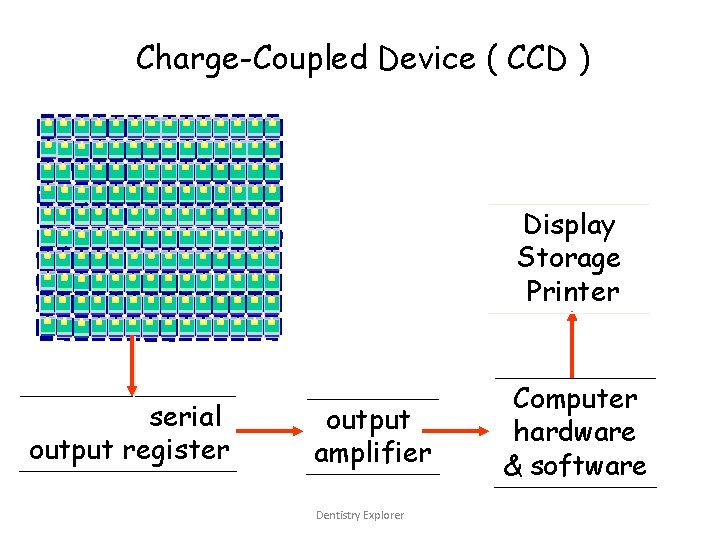 Charge-Coupled Device ( CCD ) Display Storage Printer serial output register output amplifier Dentistry