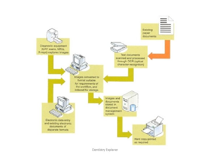 Dentistry Explorer 