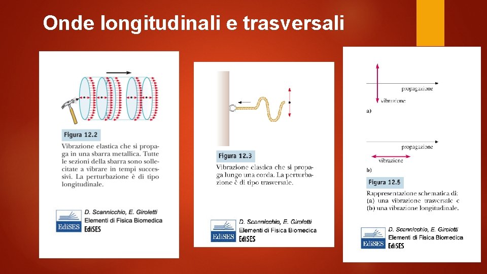 Onde longitudinali e trasversali 