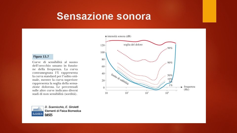 Sensazione sonora 