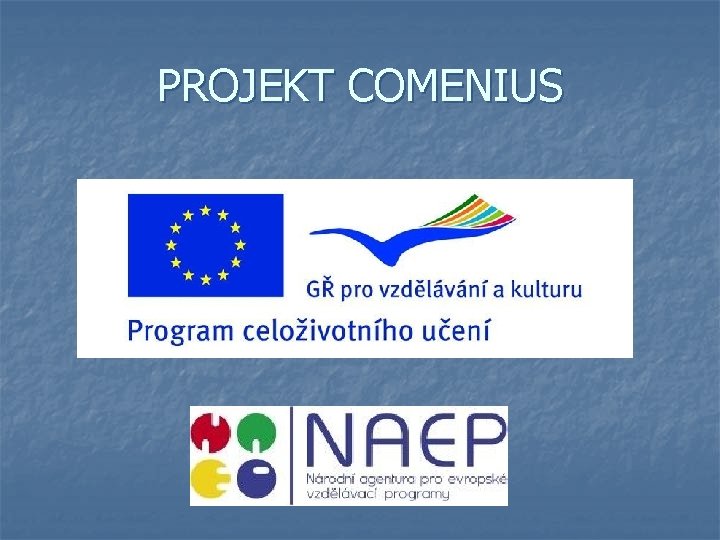 PROJEKT COMENIUS 