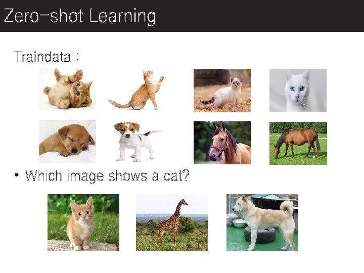 Zero-shot Learning Traindata : • Which image shows a cat? 