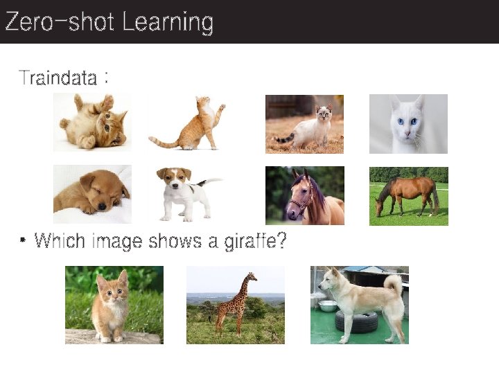 Zero-shot Learning Traindata : • Which image shows a giraffe? 