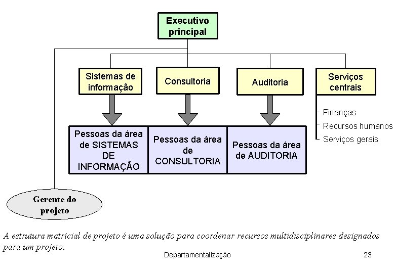 Executivo principal Sistemas de informação Consultoria Auditoria Serviços centrais Finanças Pessoas da área de