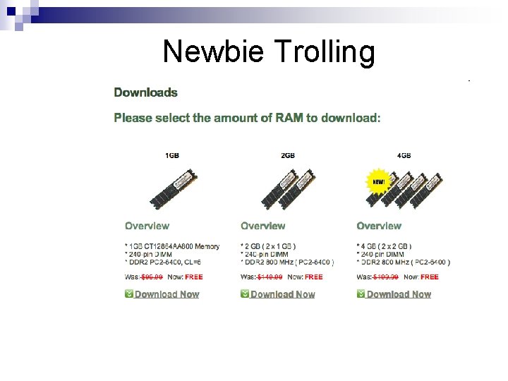 Newbie Trolling Newbie Trolling