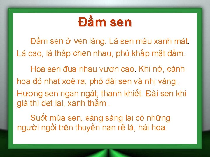 Đầm sen ở ven làng. Lá sen màu xanh mát. Lá cao, lá thấp