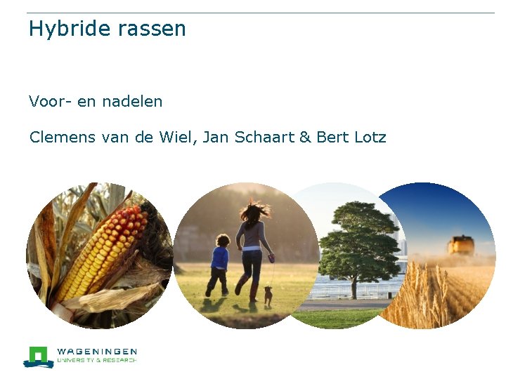 Hybride rassen Voor- en nadelen Clemens van de Wiel, Jan Schaart & Bert Lotz