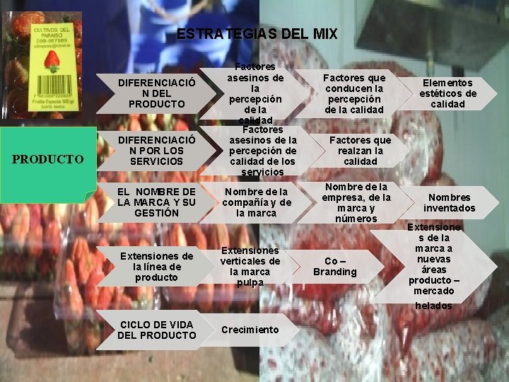 PLAN ESTRATGICO DE MARKETING PARA INCREMENTAR LAS VENTAS