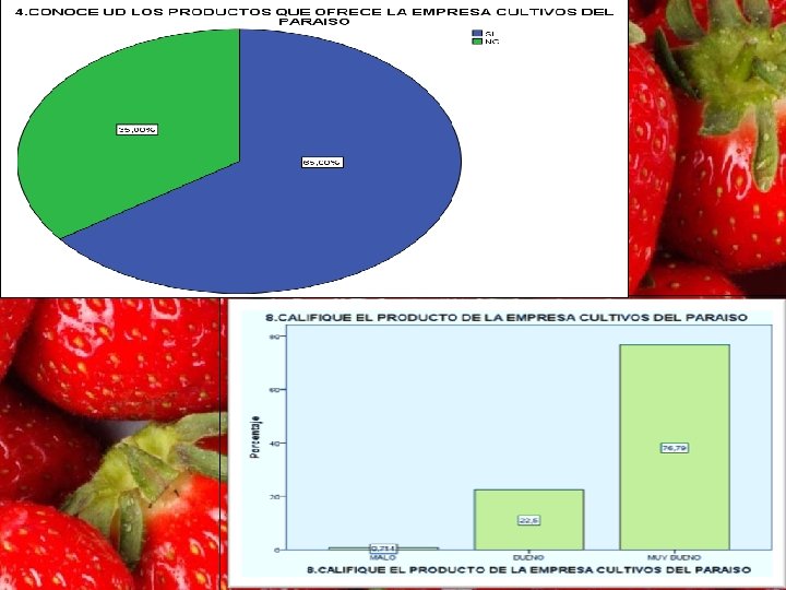PLAN ESTRATGICO DE MARKETING PARA INCREMENTAR LAS VENTAS
