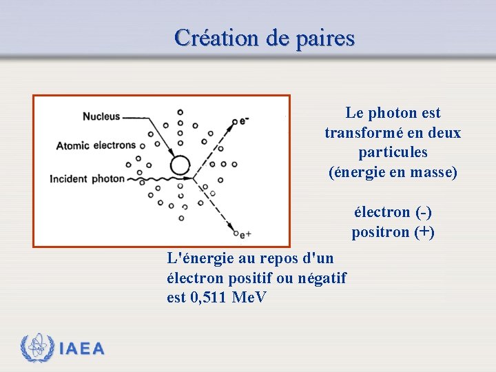 Création de paires Le photon est transformé en deux particules (énergie en masse) électron