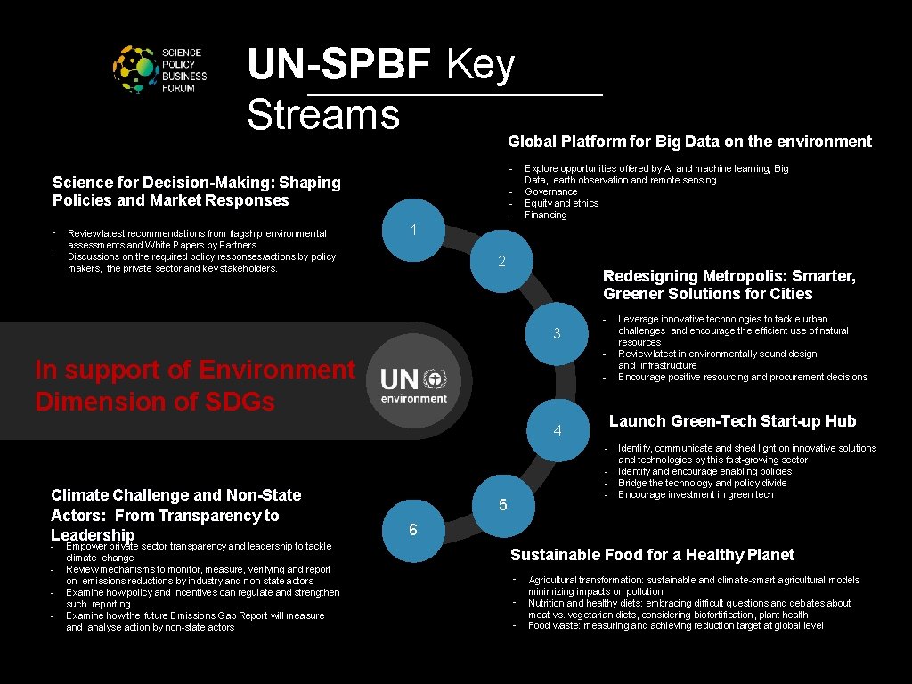UN-SPBF Key Streams Global Platform for Big Data on the environment - Science for