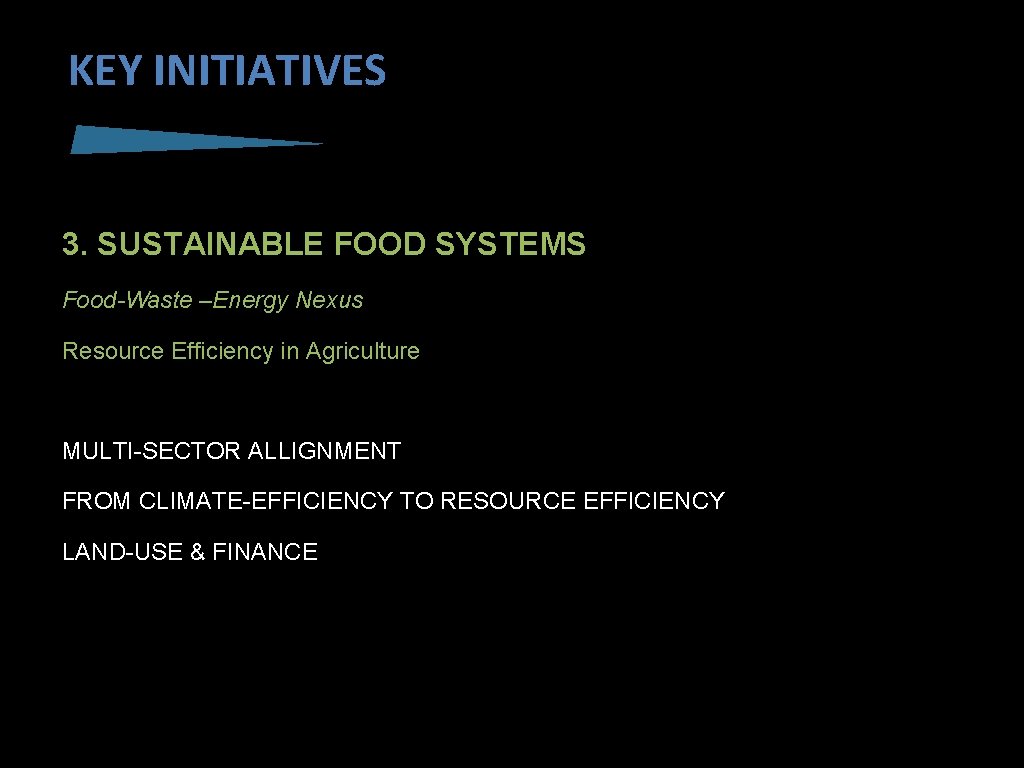 KEY INITIATIVES 3. SUSTAINABLE FOOD SYSTEMS Food-Waste –Energy Nexus Resource Efficiency in Agriculture MULTI-SECTOR
