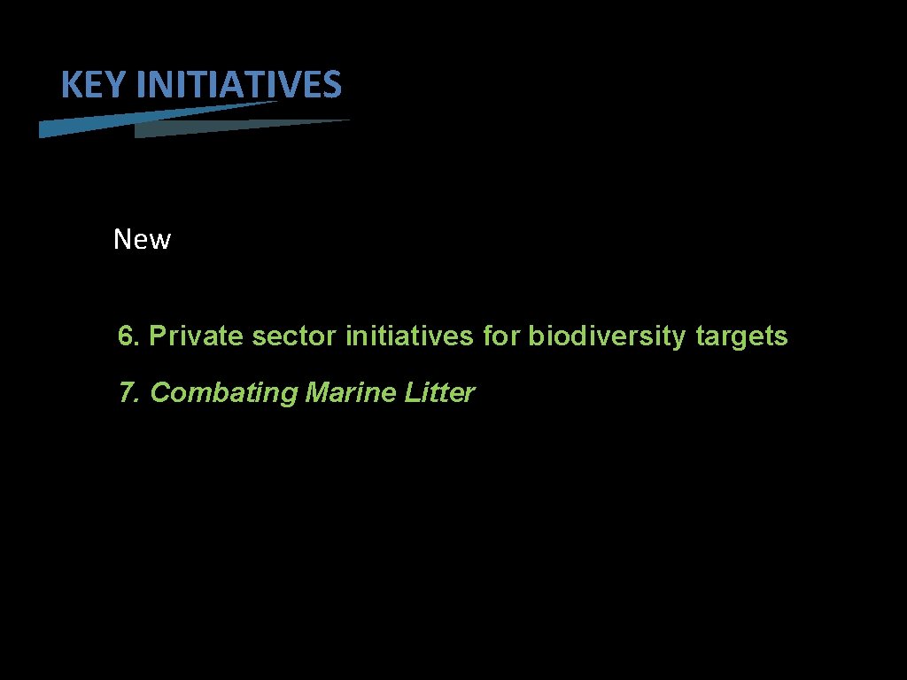 KEY INITIATIVES New 6. Private sector initiatives for biodiversity targets 7. Combating Marine Litter