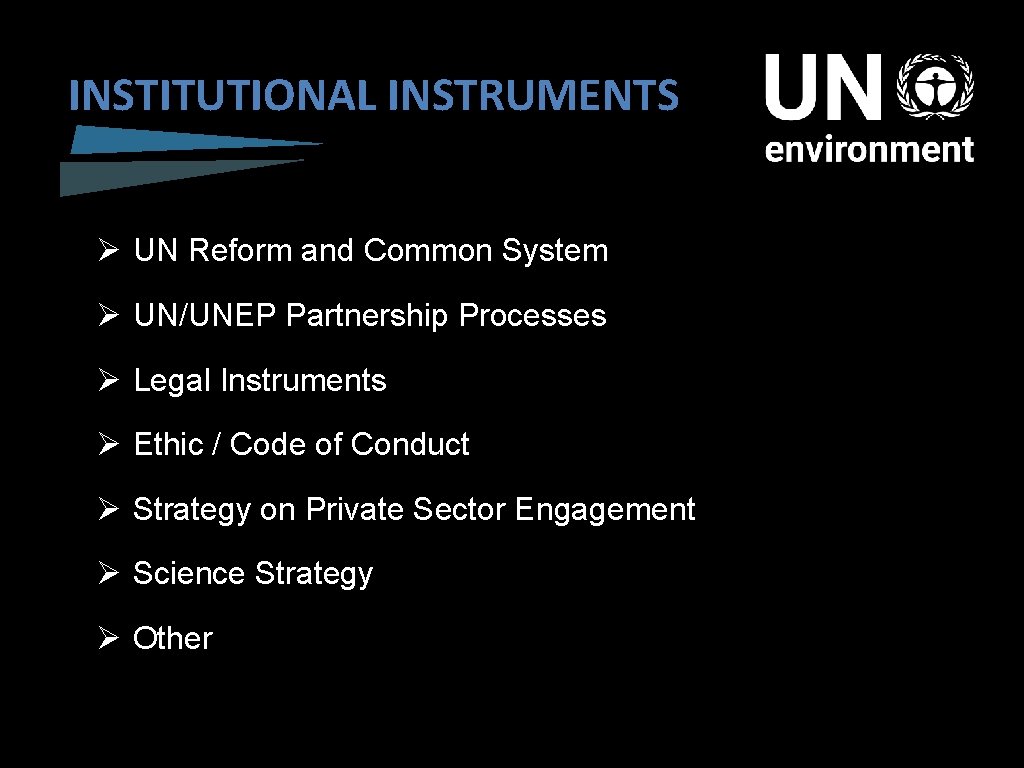 INSTITUTIONAL INSTRUMENTS Ø UN Reform and Common System Ø UN/UNEP Partnership Processes Ø Legal