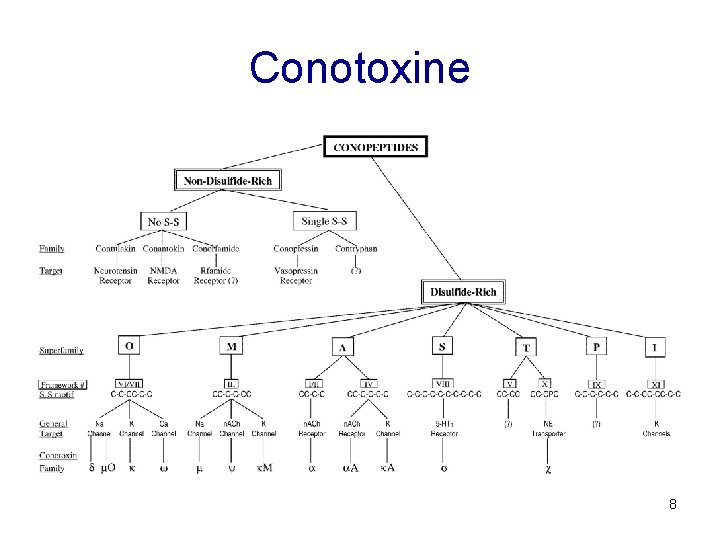 Conotoxine 8 