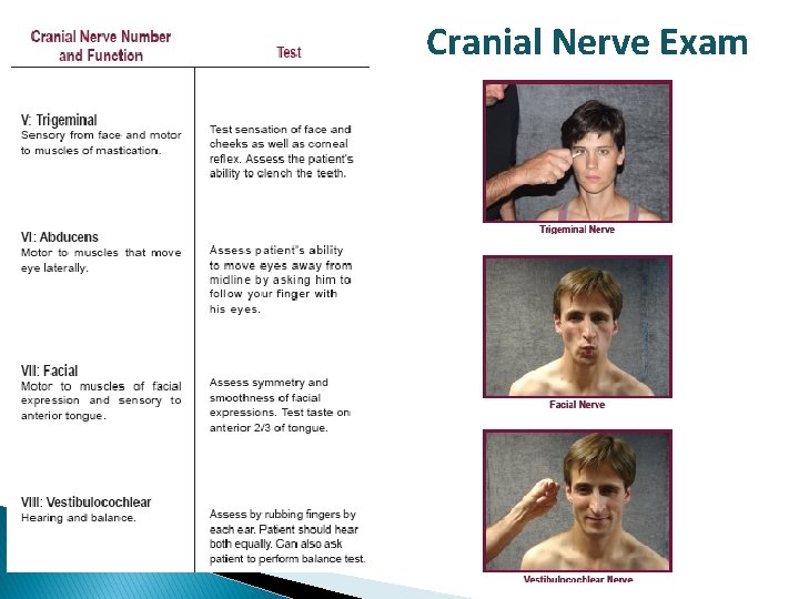 Cranial Nerve Exam 