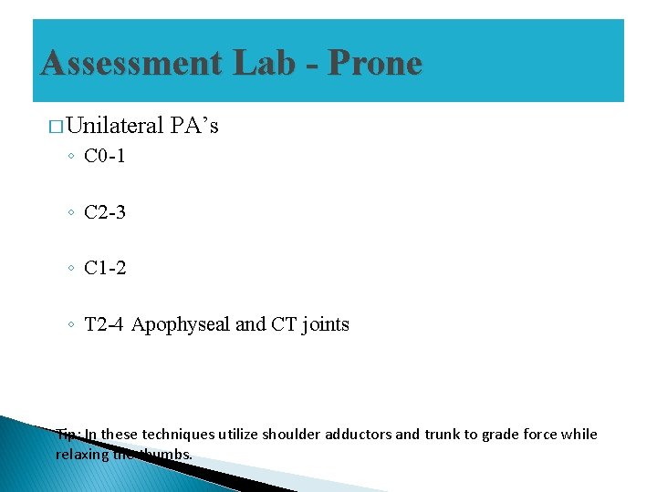 Assessment Lab - Prone � Unilateral PA’s ◦ C 0 -1 ◦ C 2