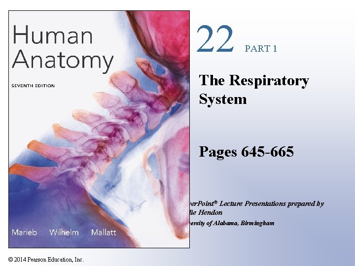 22 PART 1 The Respiratory System Pages 645 -665 Power. Point® Lecture Presentations prepared