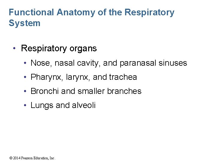 Functional Anatomy of the Respiratory System • Respiratory organs • Nose, nasal cavity, and