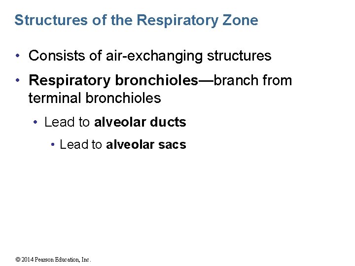 Structures of the Respiratory Zone • Consists of air-exchanging structures • Respiratory bronchioles—branch from