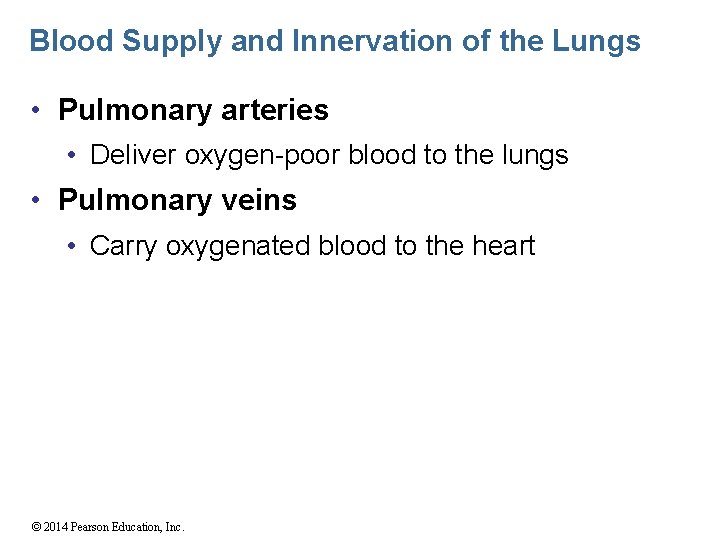 Blood Supply and Innervation of the Lungs • Pulmonary arteries • Deliver oxygen-poor blood