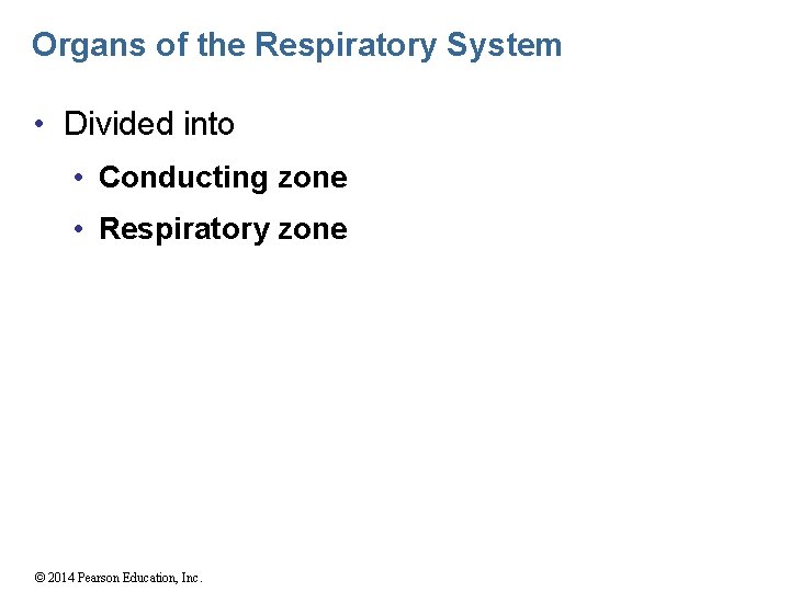 Organs of the Respiratory System • Divided into • Conducting zone • Respiratory zone