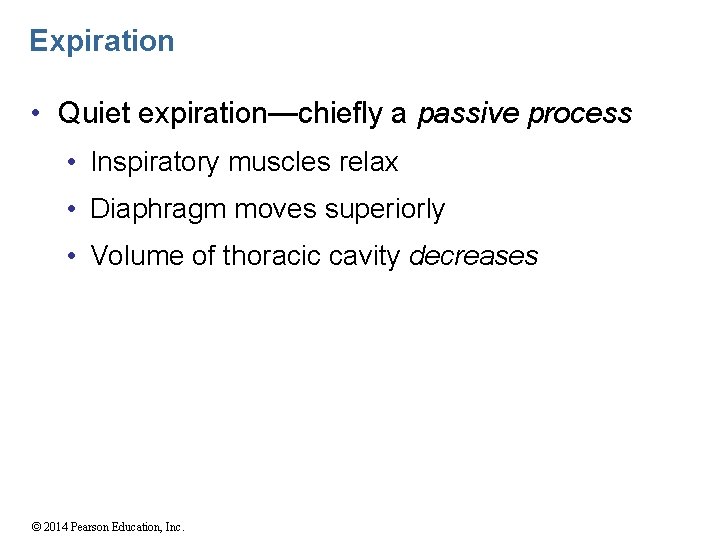 Expiration • Quiet expiration—chiefly a passive process • Inspiratory muscles relax • Diaphragm moves