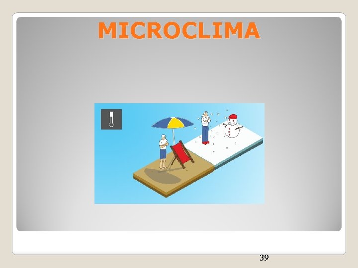 MICROCLIMA 39 