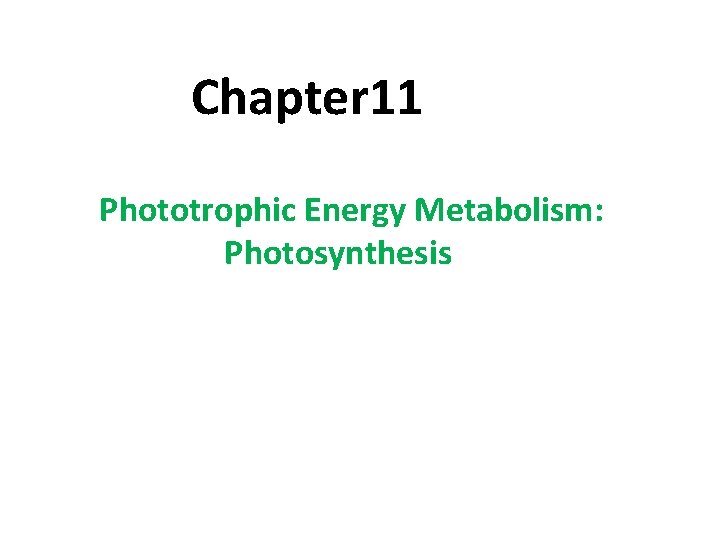 Chapter 11 Phototrophic Energy Metabolism: Photosynthesis 