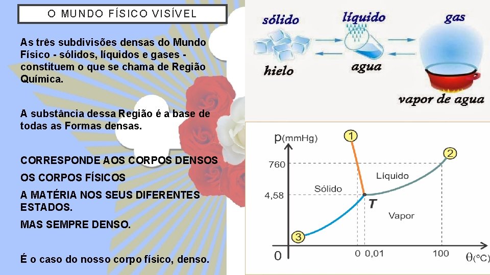 O MUNDO FÍSIC O V IS ÍV EL As três subdivisões densas do Mundo