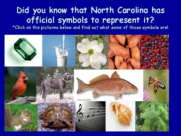 Did you know that North Carolina has official symbols to represent it? *Click on