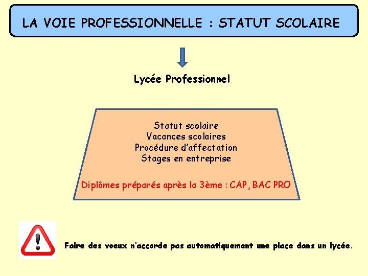 VOIE SCOLAIRE LA VOIE PROFESSIONNELLE : STATUT SCOLAIRE Lycée Professionnel Statut scolaire Vacances scolaires