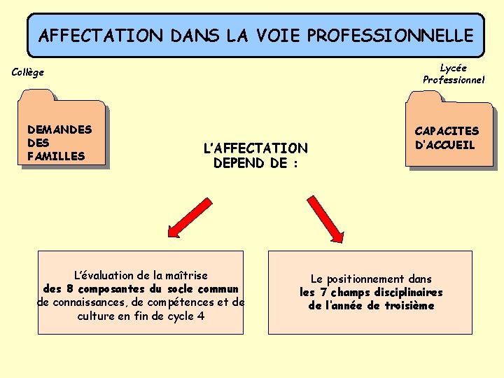 AFFECTATION DANS LA VOIE PROFESSIONNELLE Lycée Professionnel Collège DEMANDES FAMILLES L’AFFECTATION DEPEND DE :