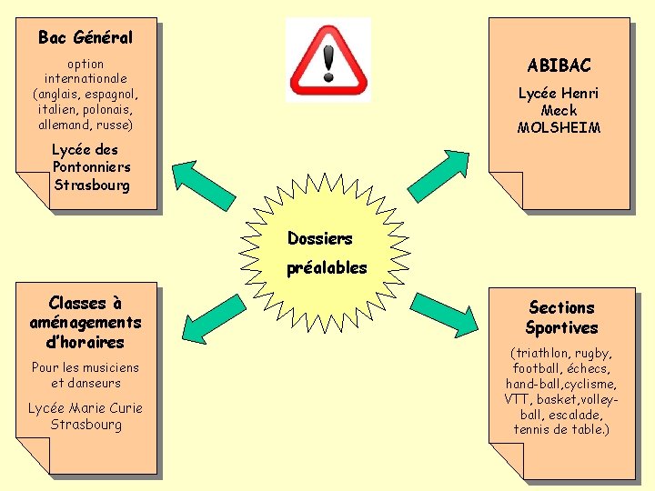 Bac Général ABIBAC option internationale (anglais, espagnol, italien, polonais, allemand, russe) Lycée Henri Meck