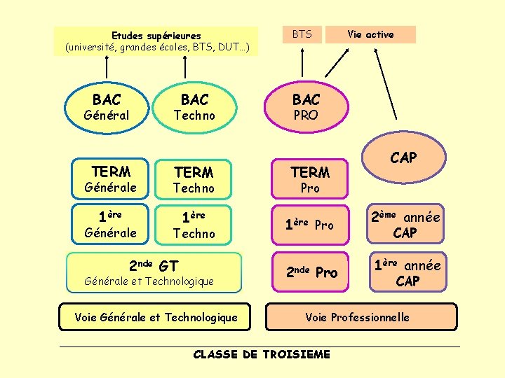 Etudes supérieures (université, grandes écoles, BTS, DUT…) BAC Techno Général TERM Générale Techno 1ère