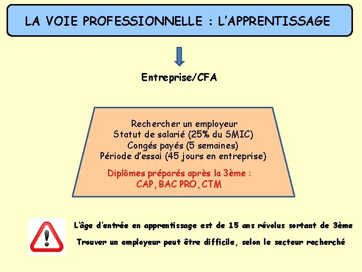 LA VOIE PROFESSIONNELLE : L’APPRENTISSAGE Entreprise/CFA Recher un employeur Statut de salarié (25% du