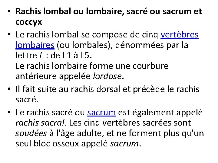  • Rachis lombal ou lombaire, sacré ou sacrum et coccyx • Le rachis