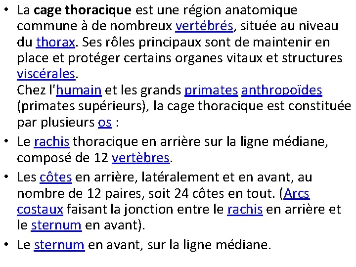  • La cage thoracique est une région anatomique commune à de nombreux vertébrés,